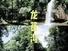 -龙苍沟森林公园