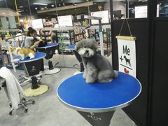 -宠物世家(仲盛世界商城店)