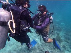 -卡帕莱度假村(西巴丹岛)