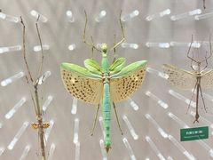 -国家自然博物馆