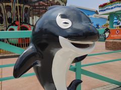 -海合安成都极地海洋公园