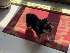 -喜多萌中农锦绣动物医院24H·猫科·牙科MRI·CT