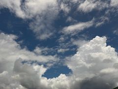 -广州长隆飞鸟乐园