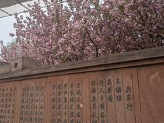 -唐城墙遗址公园