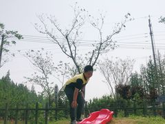 -上海长兴岛郊野公园