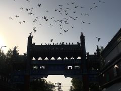 -北京国子监胡同