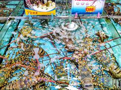 -渔民新村(番禺总店)