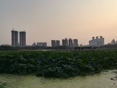 -月湖风景区
