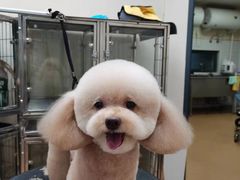 -芭比堂宠物医院·全科爱猫医院·仁德分院