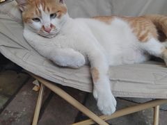 -小半有礼(天河南店)