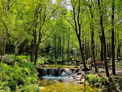 -玉渡山自然风景区