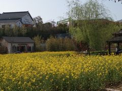 -石塘人家