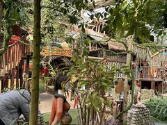 -呀路古热带植物园
