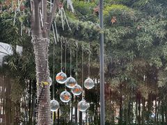 -杭州君悦酒店·青莳