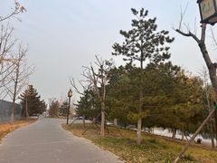 -西海子公园