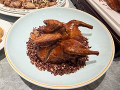 -朱记乳鸽王·非遗石岐乳鸽·全鸽宴(大兴旗舰店)
