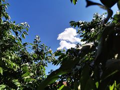 -天源渔港农庄