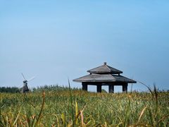 -宁波杭州湾国家湿地公园