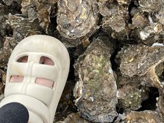 -东寨港红树林旅游区