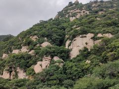 -大岭沟猕猴桃谷风景区