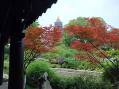 -红梅公园