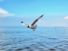 -青海湖国家重点风景名胜区
