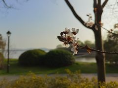 -渤公岛生态公园