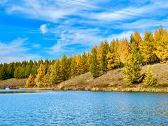 -塞罕坝国家级自然保护区