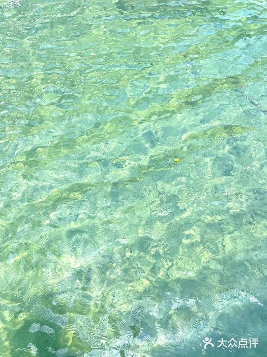 紫云谷景区图片