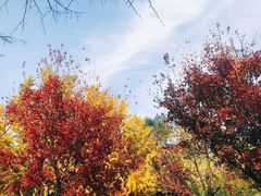 -香山公园-东宫门售票处