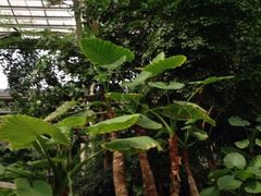 iphone_upload_pic-龙达温泉生态城