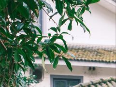 -杭州花家山庄