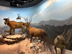 -陕西自然博物馆