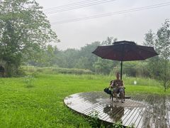 -桤木河湿地公园