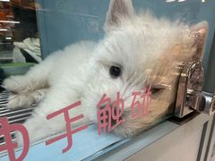 -FAELING PETS美天灵宠物(合生汇店)