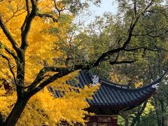 -汇龙潭