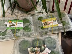 -王家沙点心店(南京西路总店)