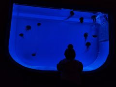 -华夏文旅西安度假区