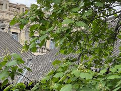 -张学良旧居陈列馆