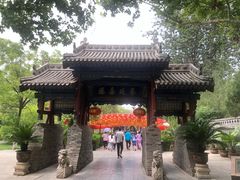 -大槐树寻根祭祖园
