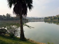 -枫香湖儿童公园