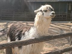 -昆明动物园