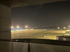 -南京禄口机场雅高铂尔曼大酒店