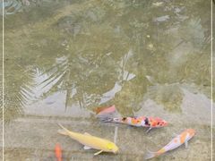 -漫笙舍Manse·咖啡·民宿