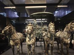 -秦始皇帝陵博物院-丽山园