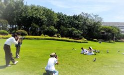 -绿皮火车照相馆 婚纱照旅拍(厦门店)