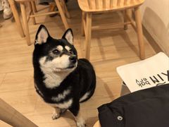 -柴の食堂·日式家庭料理·熊之肆(大学路店)