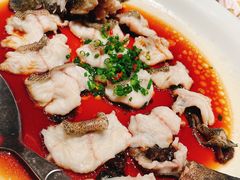-鸽子侯·家宴·平价海鲜(绿地店)