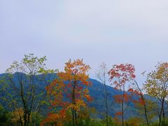 -塔川景区
