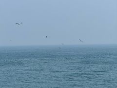 -青岛崂山太清宫